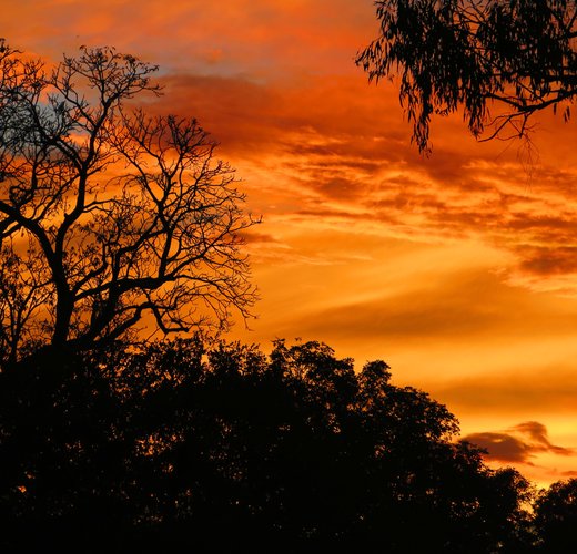 Sunrise Pilbara and Kimberley Australia