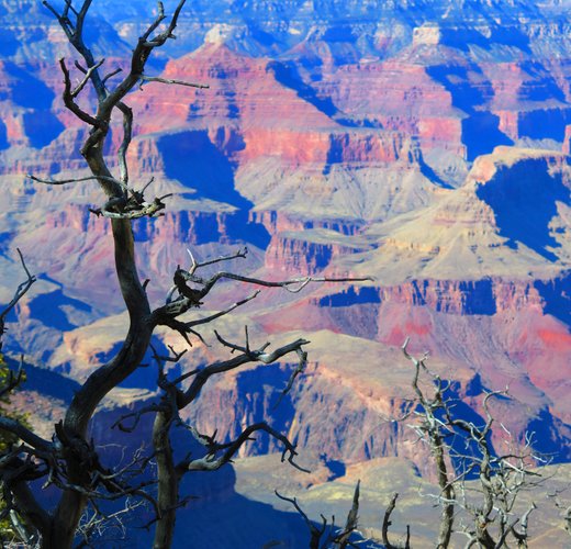 Rim to rim hike Grand Canyon