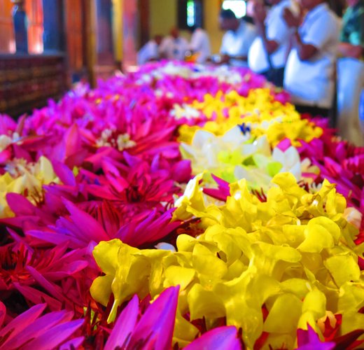 Flowers in Temple of the tooth, Kandy, Sri Lanka